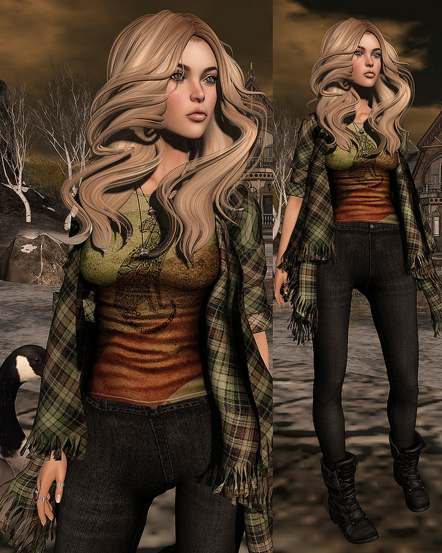 22849981910_5ee00993e8_c